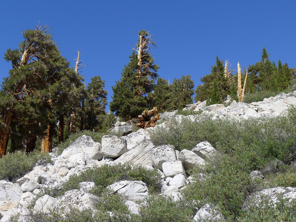 SouthernSierra 433